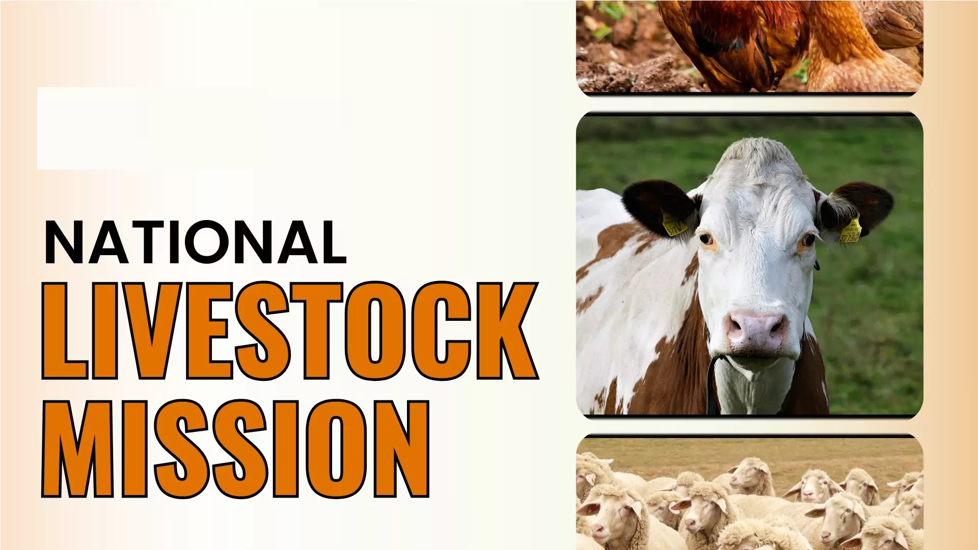 Livestock Sector in India