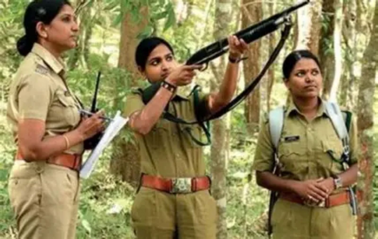 Rajasthan Forest Guard Recruitment 2025: 785 Vacancies Announced for Forest Guard, Vanpal & Surveyor Posts