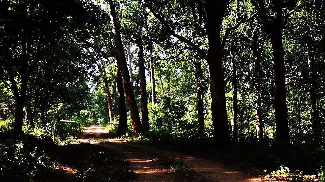 Supreme Court of India directed the Jharkhand government to declare 31,468.25 hectares of the Saranda forest area as a wildlife sanctuary