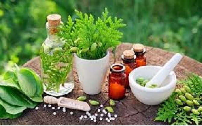 The fourth establishment anniversary of Ayush Export Promotion Council observed