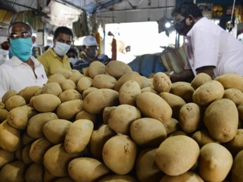 Cabinet approves setting up of South Asia Regional Centre of International Potato Center in Agra